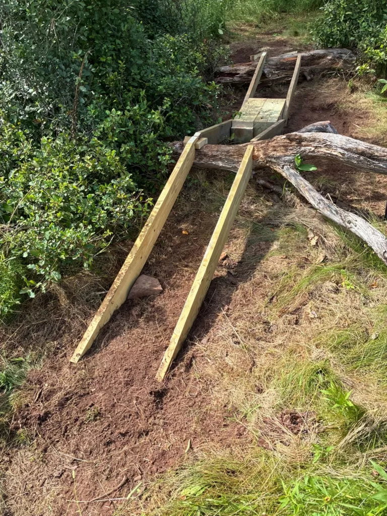 We are building several off road mountain bike routes in our township area. We meet for trail maintenance and development as well as group rides. Get involved and join us.