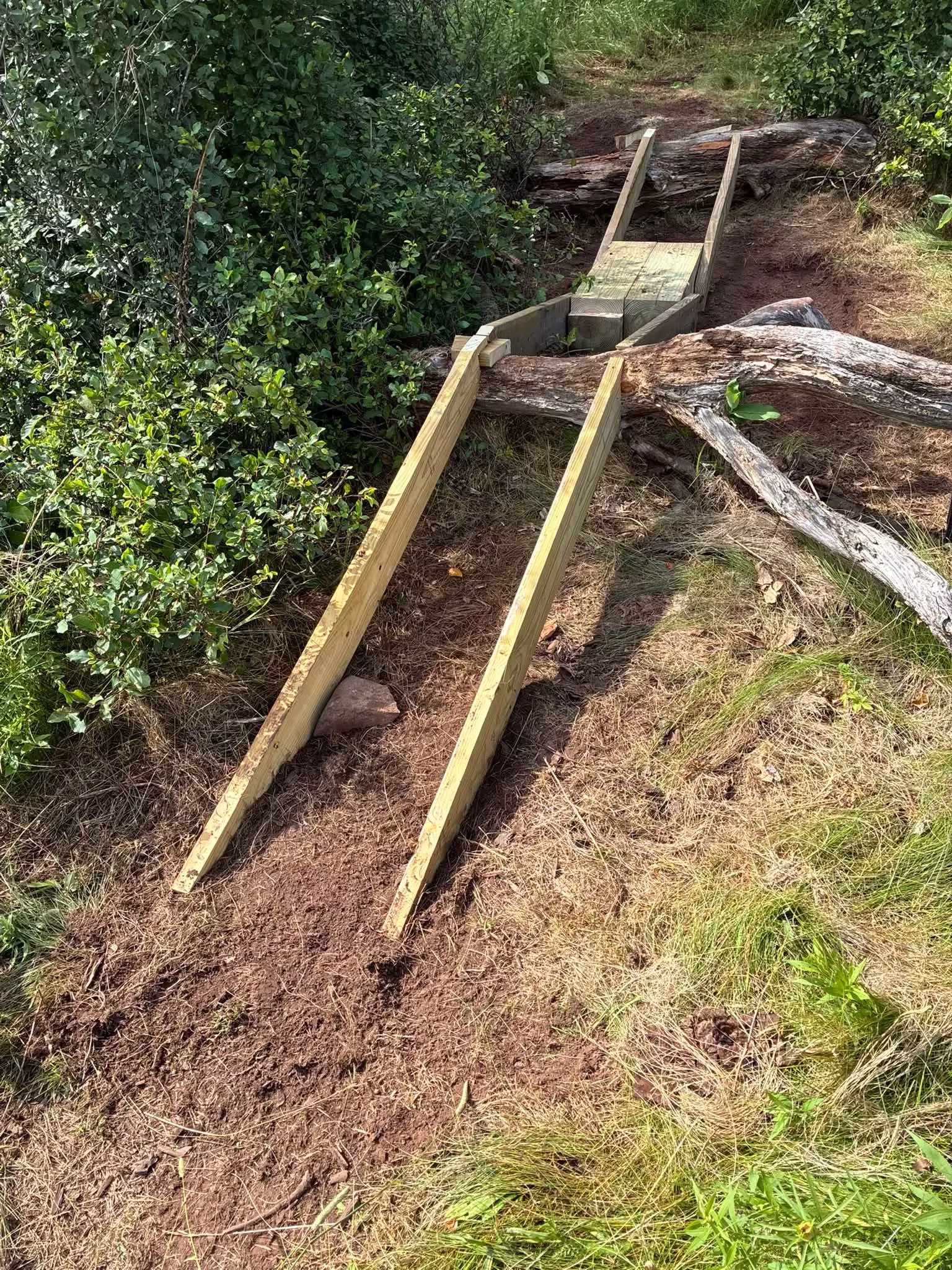 We are building several off road mountain bike routes in our township area. We meet for trail maintenance and development as well as group rides. Get involved and join us.