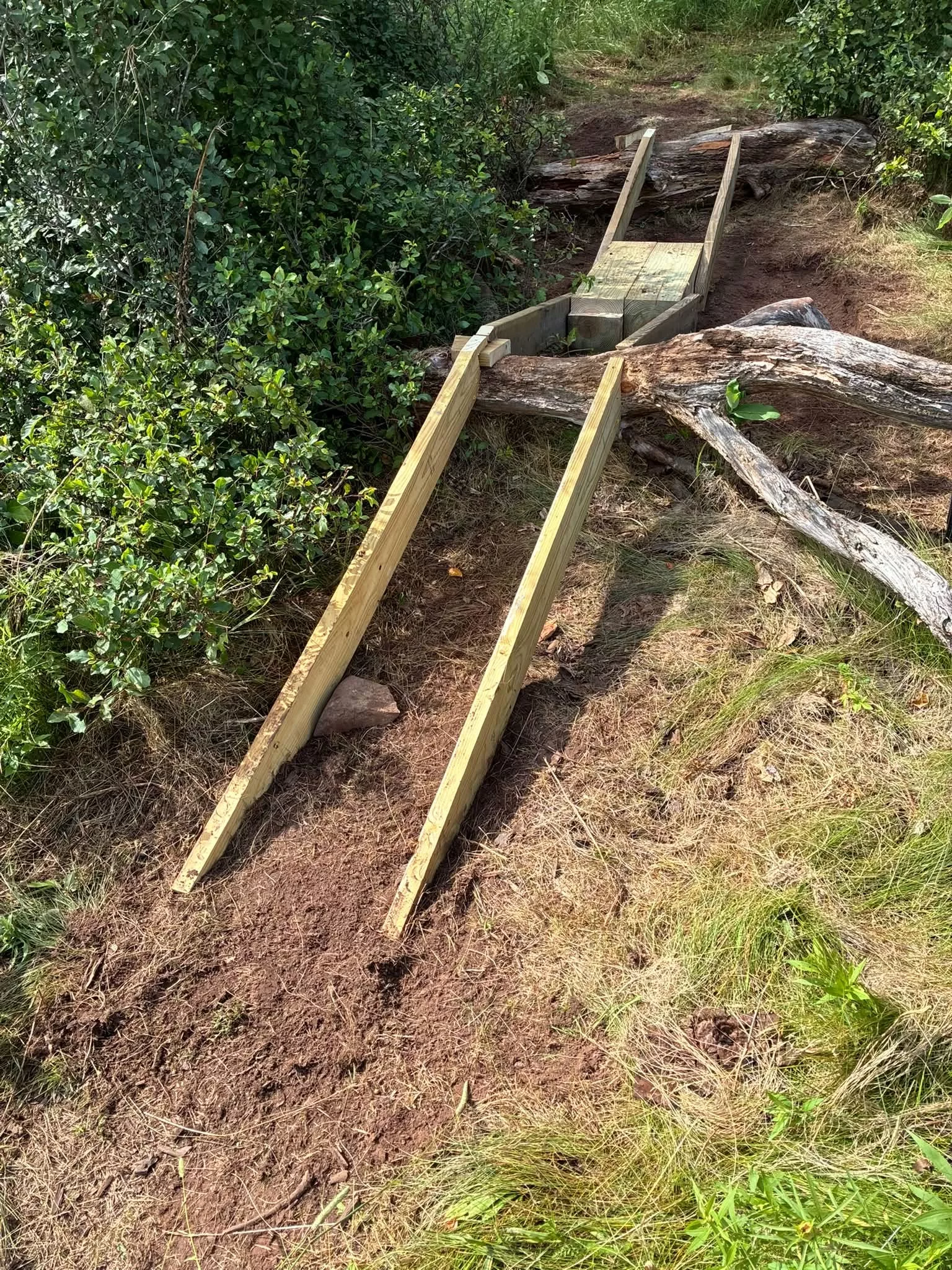 We are building several off road mountain bike routes in our township area. We meet for trail maintenance and development as well as group rides. Get involved and join us.
