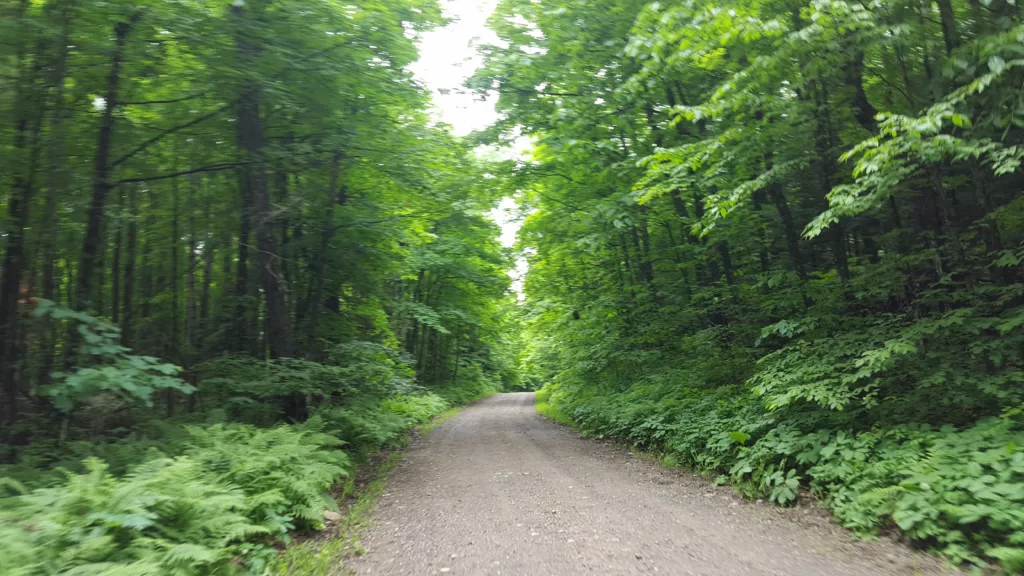 Gravel riding on Pentoga Road also know as National Forest Road 2446.