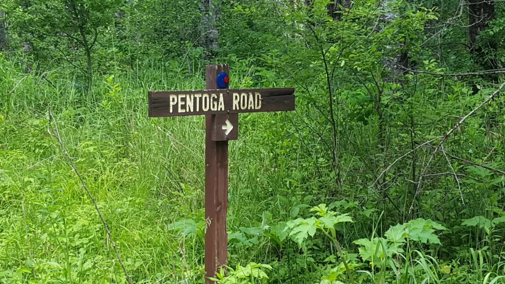 Chequamegon–Nicolet National Forest Sign is on the Wisconsin side of Pentoga Road in the National Forest 2443 Road leads to Whisker Lake Wilderness. There are three Pentoga Trail-Roads from here in Wisconsin all the way to US 2.