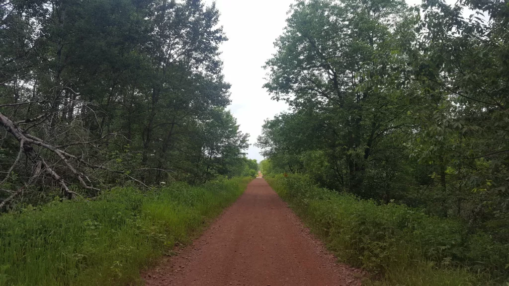 One of the old railroad grade ATV paths in Iron County Michigan. Red from iron in the dirt.