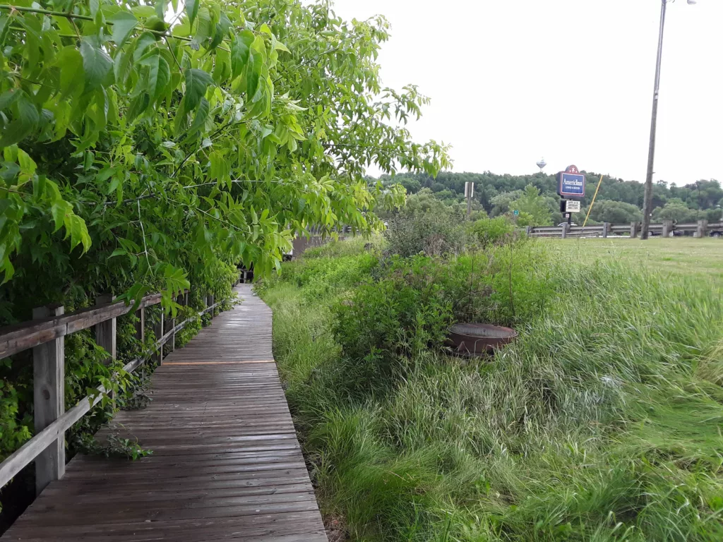 In Iron River past US 2 the Boardwalk under the bridge. Trail ends at 4th Ave in Iron River a few blocks behind this.