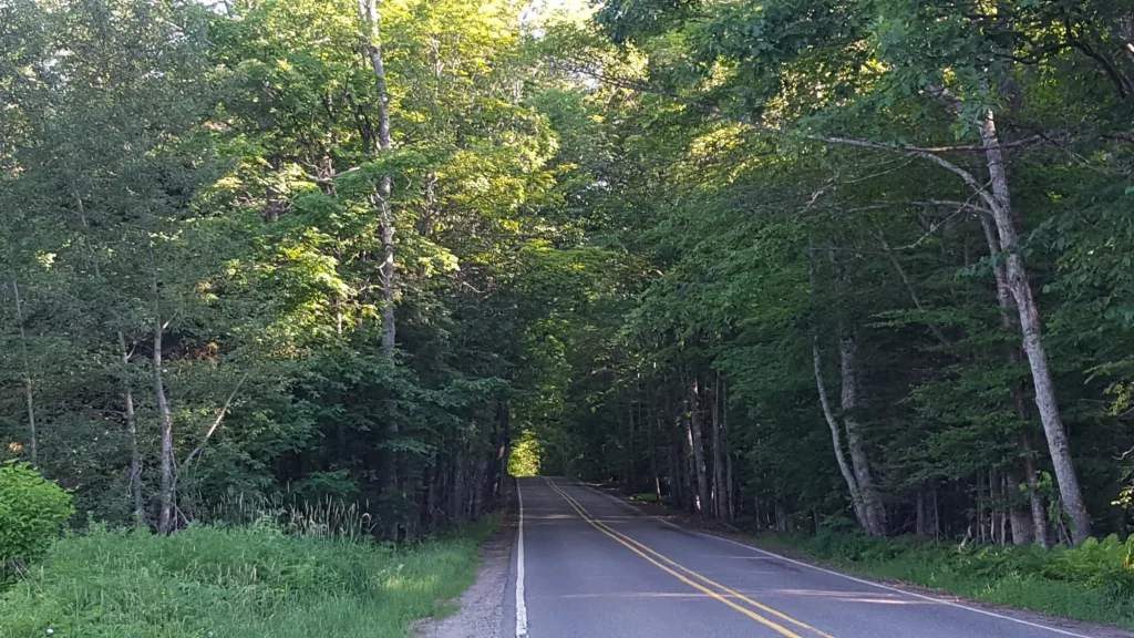 Half way down Pentoga Road between 424 an Pentoga Michigan
