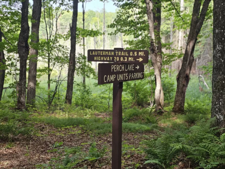 From this spot you can connect from Perch Lake to the Lauterman Trail which leads to chipmunk falls campground and spring on the pine river. All good bike and hike and Ski and Snow Shoe trails.