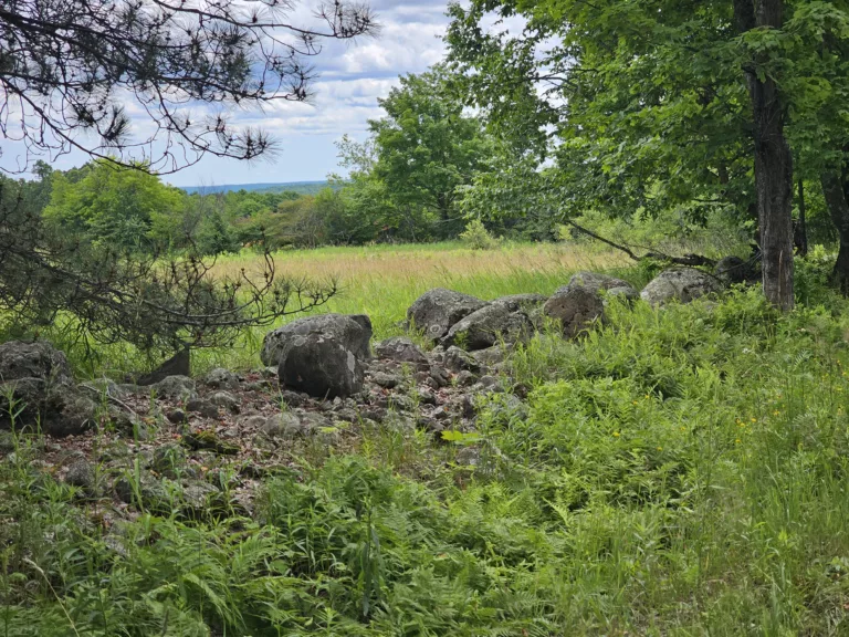 An old farm wall of glacial rocks on Wagner Lake Rd.