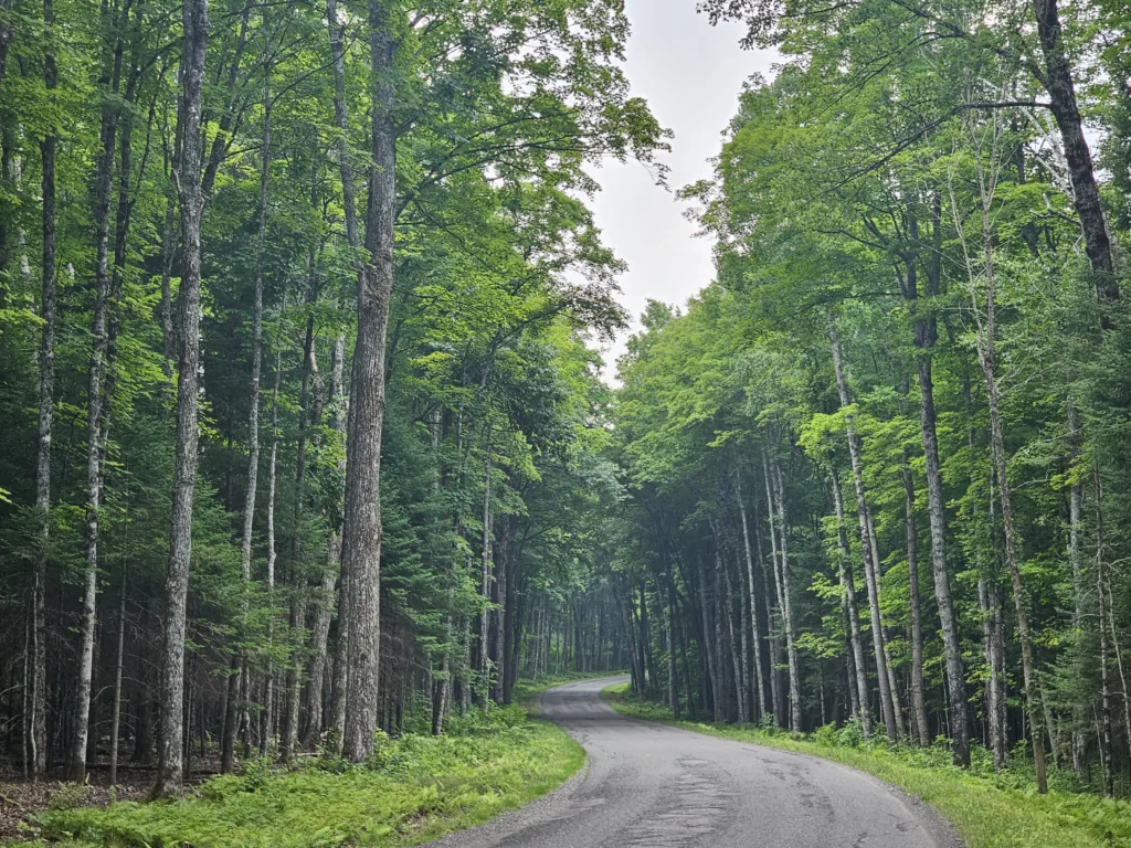 Cycling Lake Ottawa Road in the Ottawa National Forest in the western Upper Peninsula of Michigan.