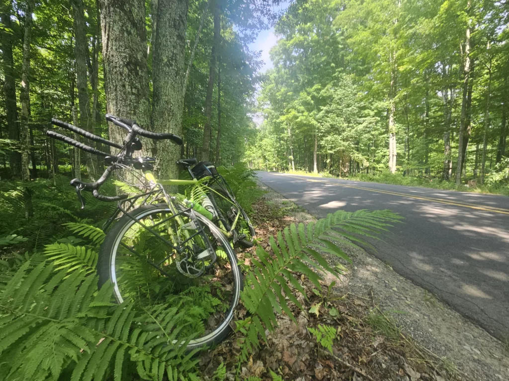 Resting in the shade on Long Lake Road between US 2 and Long Lake.