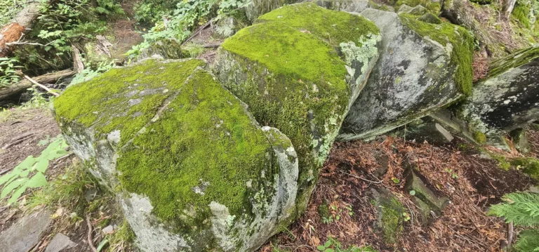 Rocks and Moss in the U.P. of Michigan